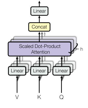 Multi-Head Attention Layer