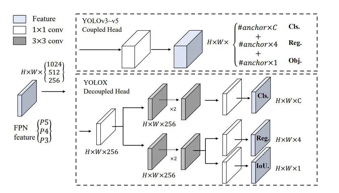 YOLOX decoupled head architecture